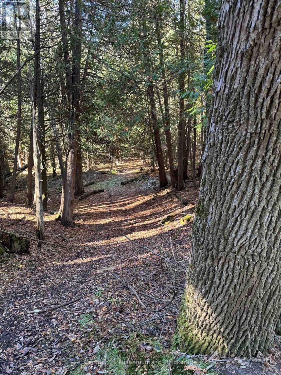 627383 15 Side Road, Mulmur, Ontario  L0N 1M0 - Photo 5 - X12983034