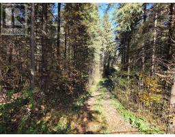 627383 15 SIDE ROAD, mulmur, Ontario