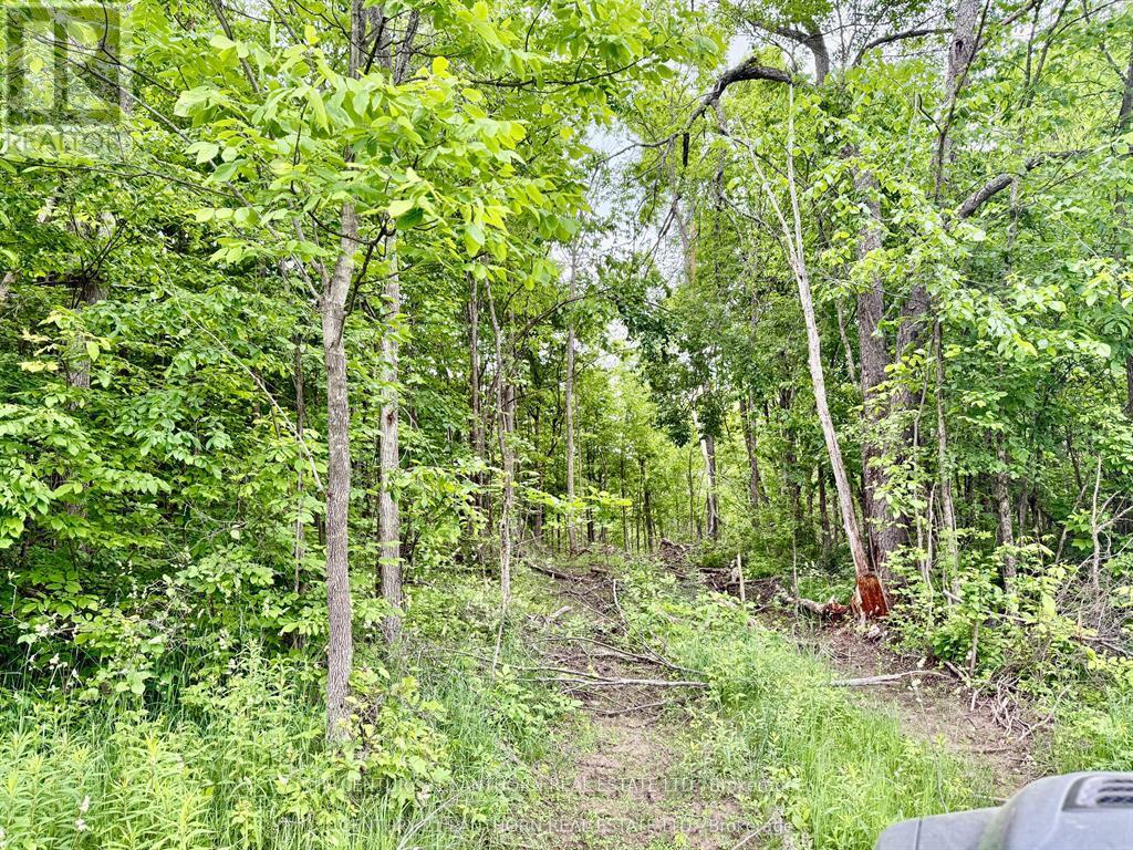 00 Cooper Road, Madoc, Ontario  K0K 2K0 - Photo 4 - X12983038