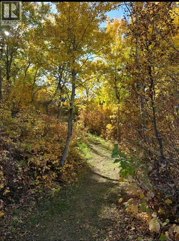 102 Hill Avenue, Greenstreet, Saskatchewan  S0M 0W0 - Photo 48 - A2299594