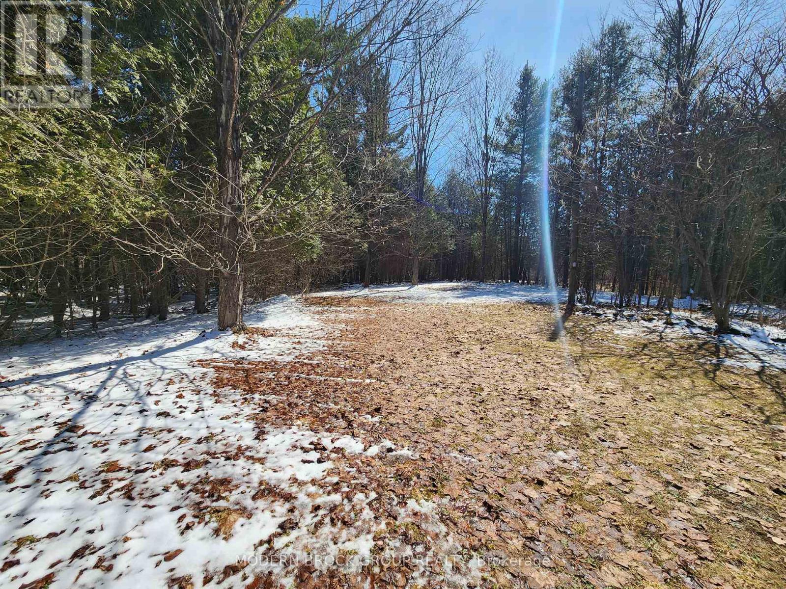 4717 County Road 18, Augusta, Ontario  K0E 1T0 - Photo 6 - X12983242