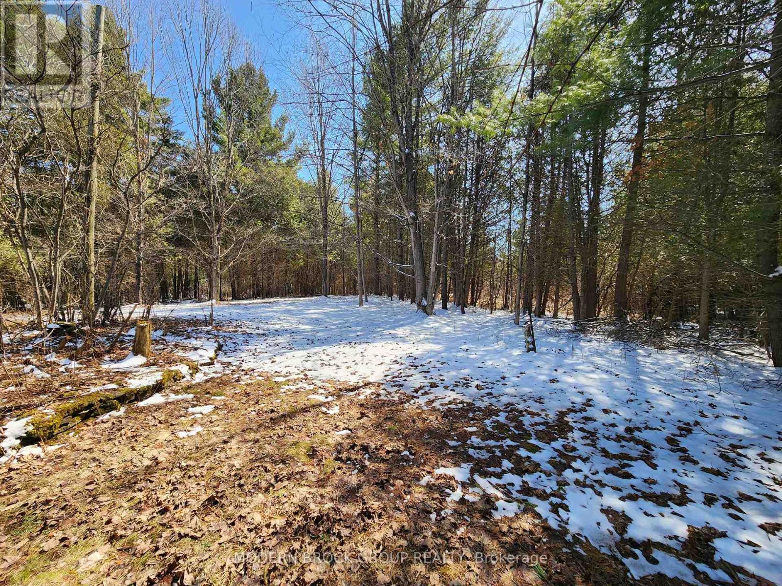 4717 County Road 18, Augusta, Ontario  K0E 1T0 - Photo 7 - X12983242