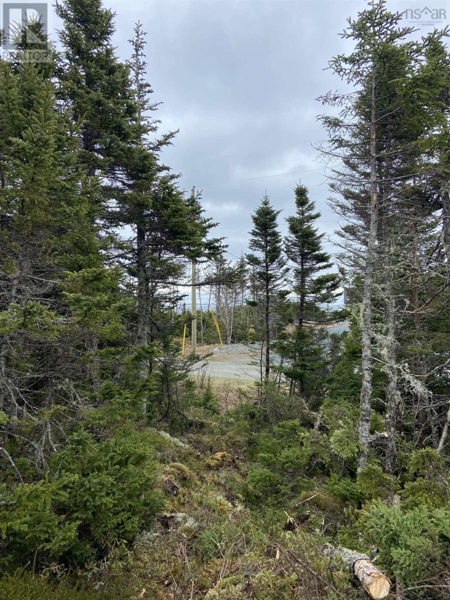 Lot 87 Wiskubok Crescent, Clam Bay, Nova Scotia  B0J 1Y0 - Photo 16 - 202602188