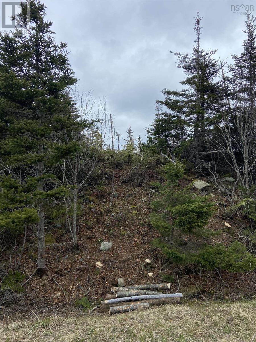 Lot 87 Wiskubok Crescent, Clam Bay, Nova Scotia  B0J 1Y0 - Photo 18 - 202602188