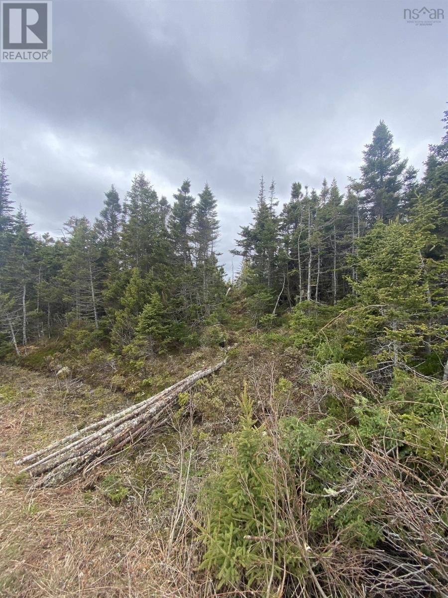 Lot 87 Wiskubok Crescent, Clam Bay, Nova Scotia  B0J 1Y0 - Photo 19 - 202602188