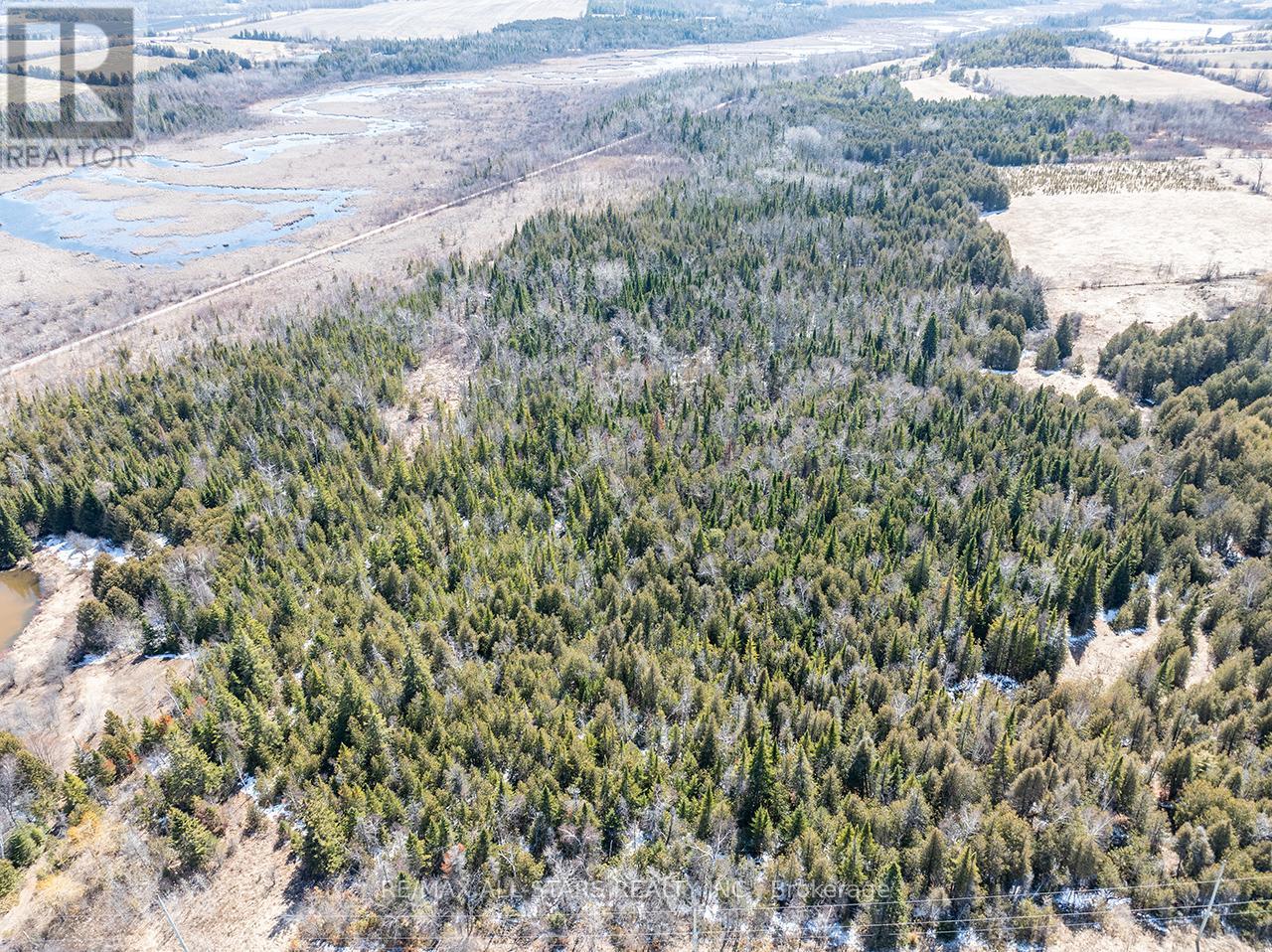 16865 Ridge Road, Brock, Ontario  L0C 1H0 - Photo 50 - N12983048