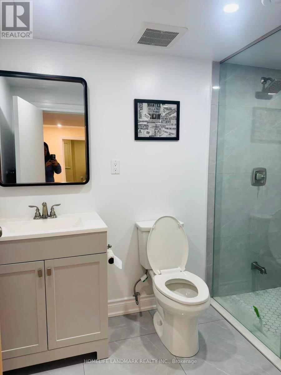 Basement - 168 Timpson Drive, Aurora, Ontario  L4G 5N2 - Photo 10 - N12983228