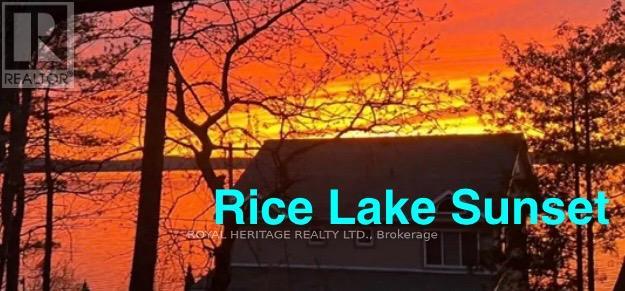 125 - 8018 Taits Beach Road, Hamilton Township, Ontario  K0K 2E0 - Photo 40 - X12931812