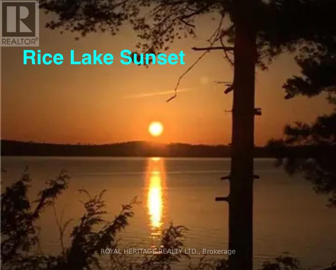 125 - 8018 Taits Beach Road, Hamilton Township, Ontario  K0K 2E0 - Photo 41 - X12931812