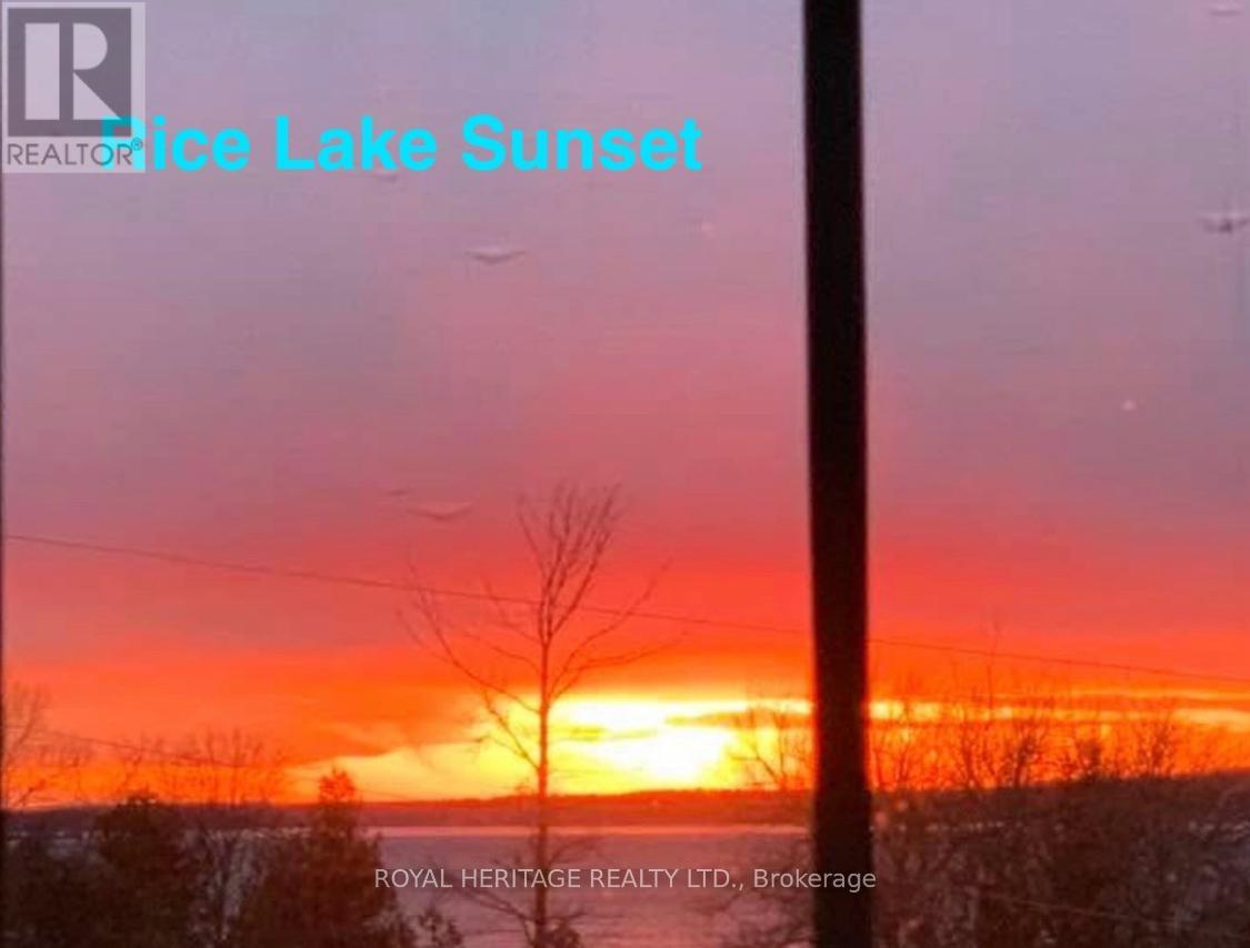 125 - 8018 Taits Beach Road, Hamilton Township, Ontario  K0K 2E0 - Photo 43 - X12931812