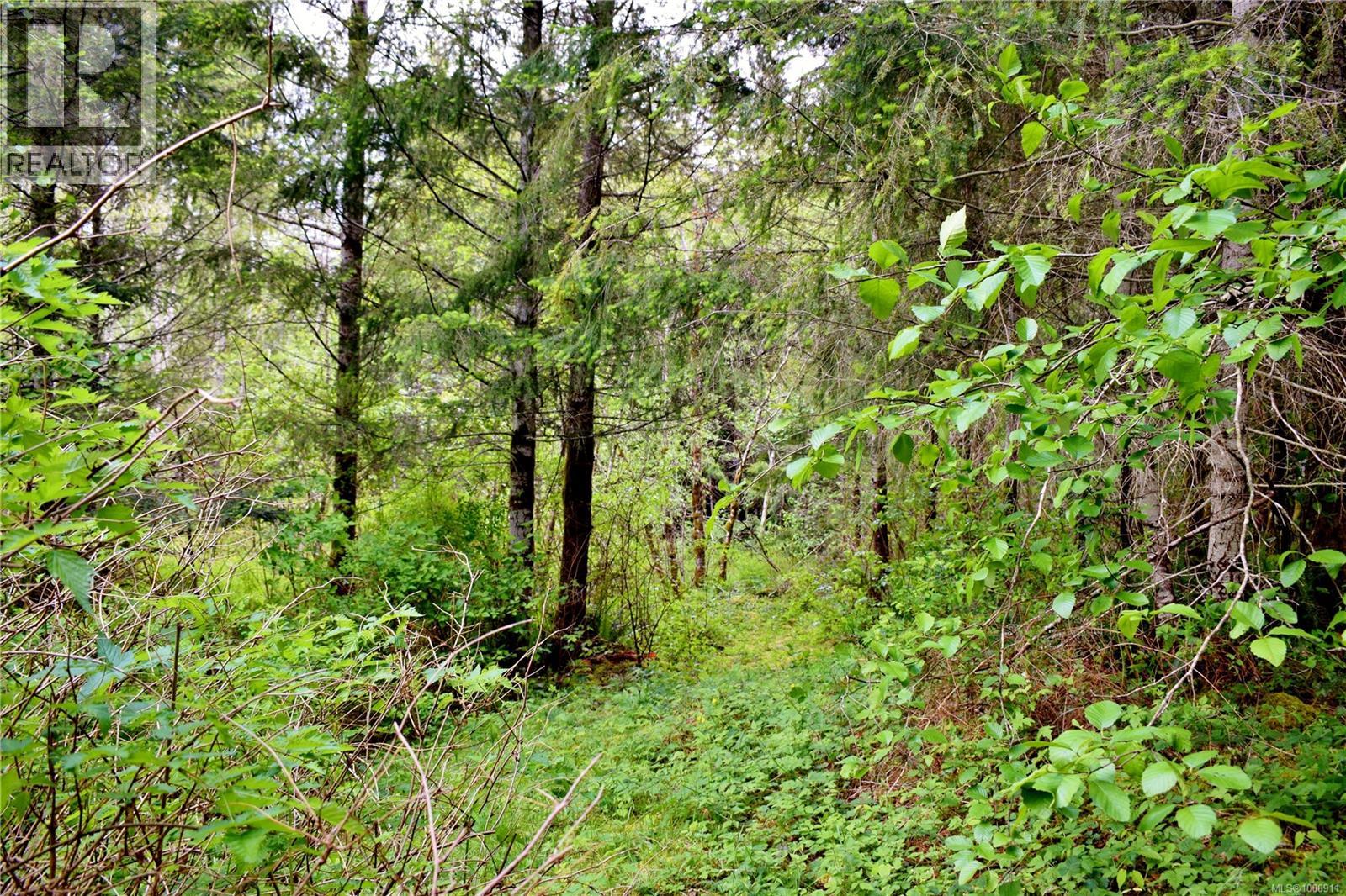 5982 Mayo Rd, Lake Cowichan, British Columbia V0R 2G0 - Photo 92 - 1000911