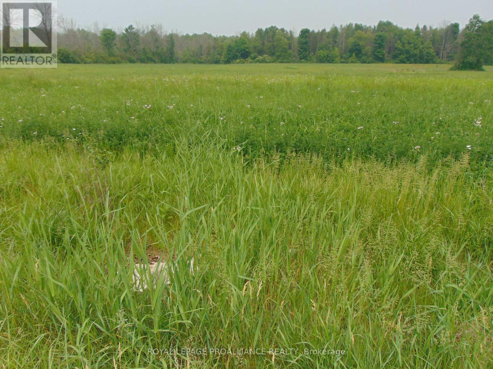 00 CHARLEVILLE ROAD N, Augusta, Ontario