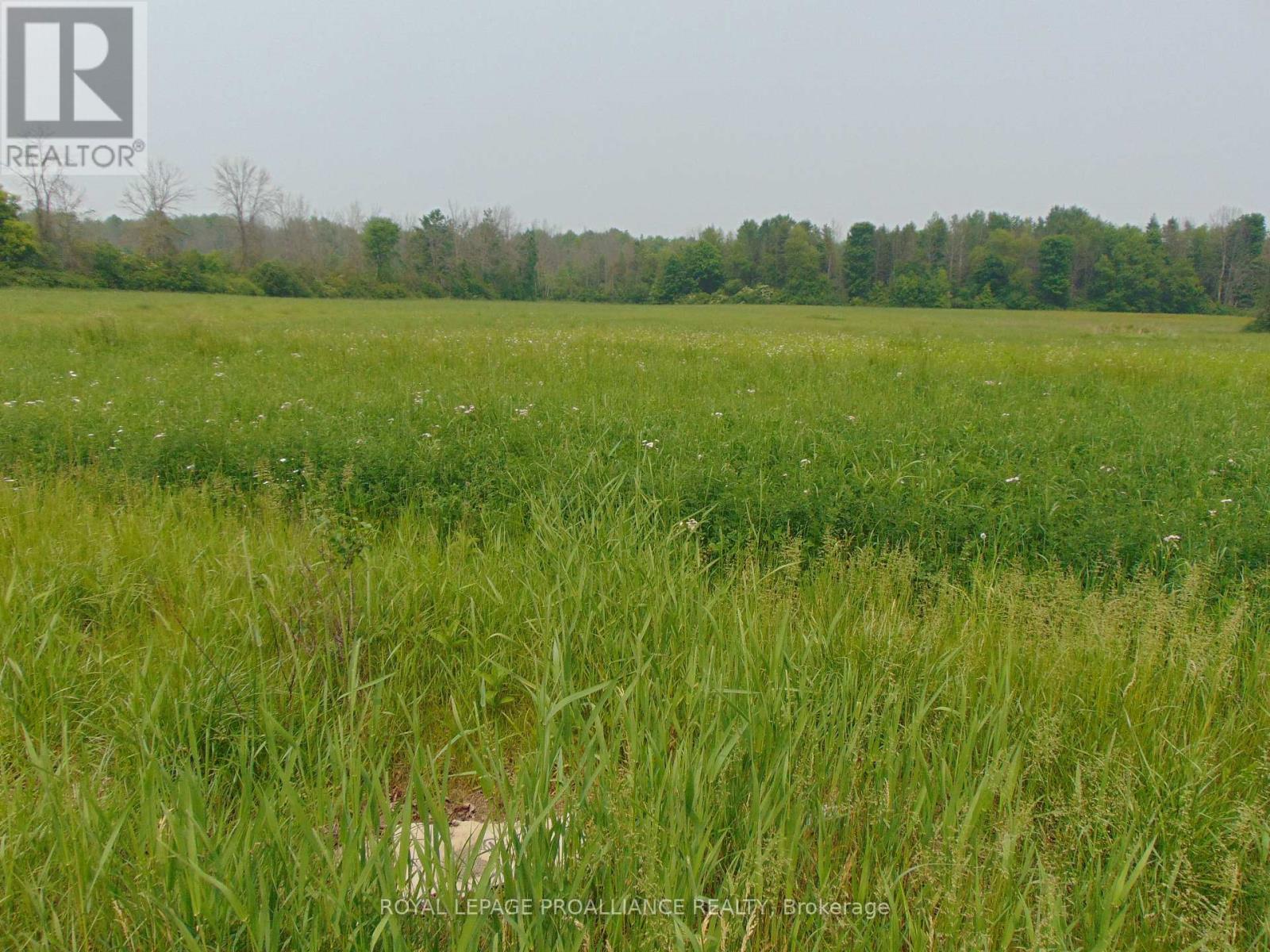 00 Charleville Road N, Augusta, Ontario K0E 1T0 - Photo 2 - X12983440
