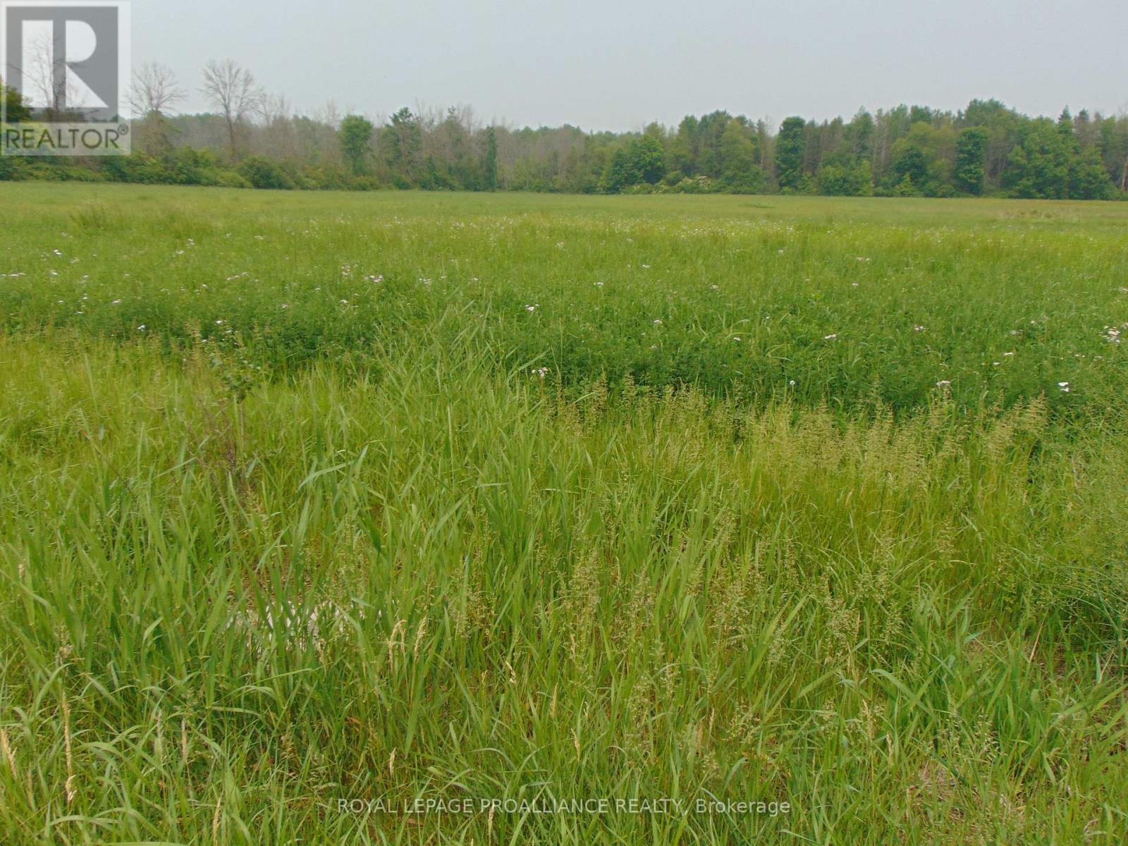 00 Charleville Road N, Augusta, Ontario K0E 1T0 - Photo 3 - X12983440