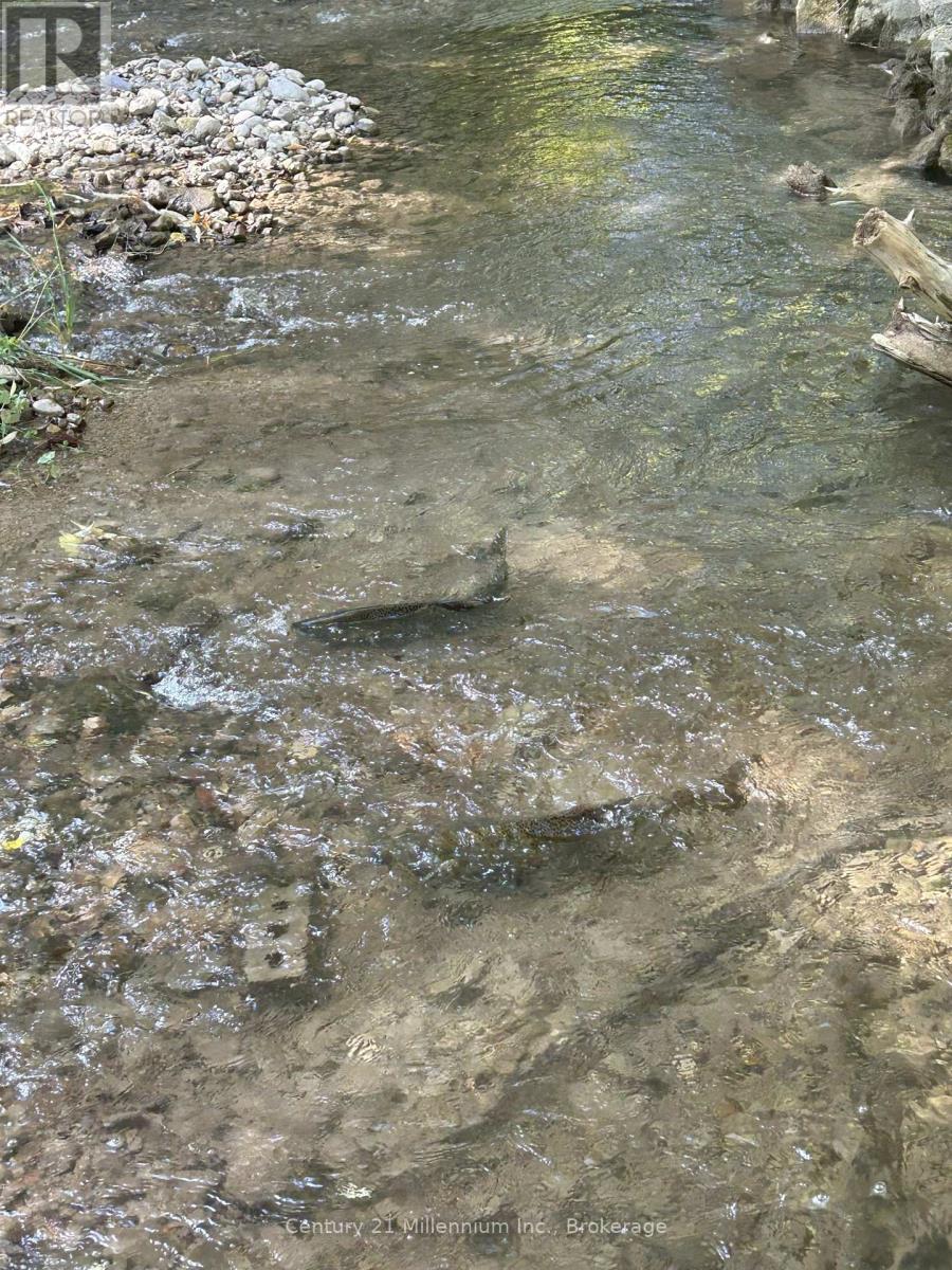 640 Mountain Road, Collingwood, Ontario  L9Y 5G3 - Photo 17 - S12983342