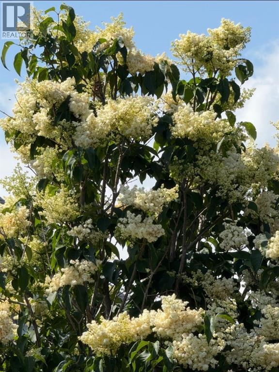 2049 High Country Rise NW, High River, Alberta T1V 0E9 - Photo 25 - A2300184