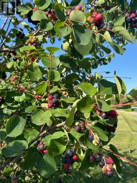 18142 Township Road 1102, Rural Mackenzie County, Alberta  T0H 1Z0 - Photo 45 - A2284983