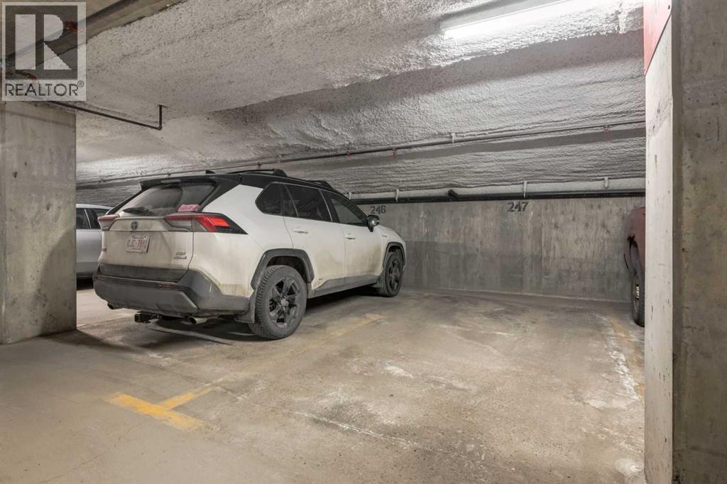 302, 59 22 Avenue SW, Calgary, Alberta  T2S 3C7 - Photo 30 - A2299747