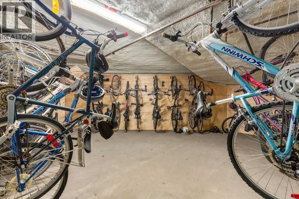 302, 59 22 Avenue SW, Calgary, Alberta  T2S 3C7 - Photo 33 - A2299747