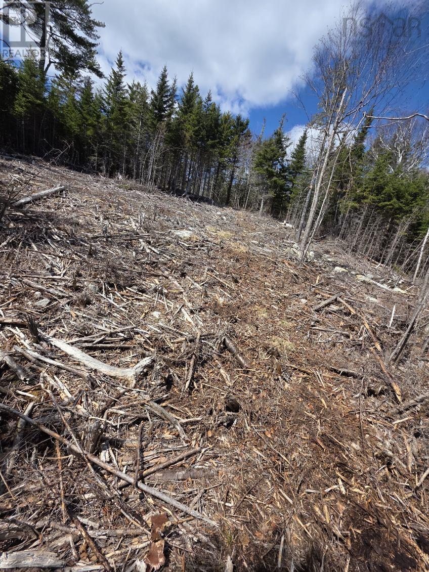 Lot 3 West Petpeswick Road, Petpeswick, Nova Scotia  B0J 2L0 - Photo 3 - 202600988