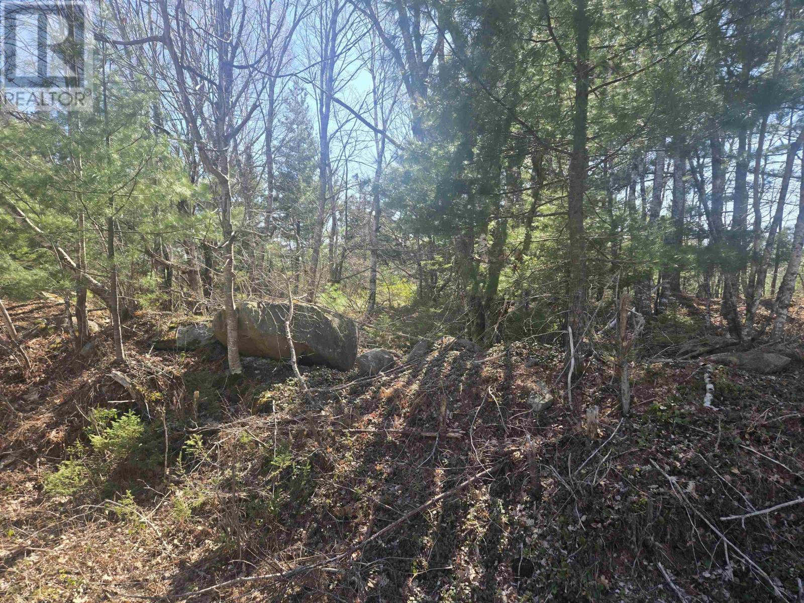 Lot B Lake Road, Sandy Point, Nova Scotia B0T 1W0 - Photo 4 - 202512075