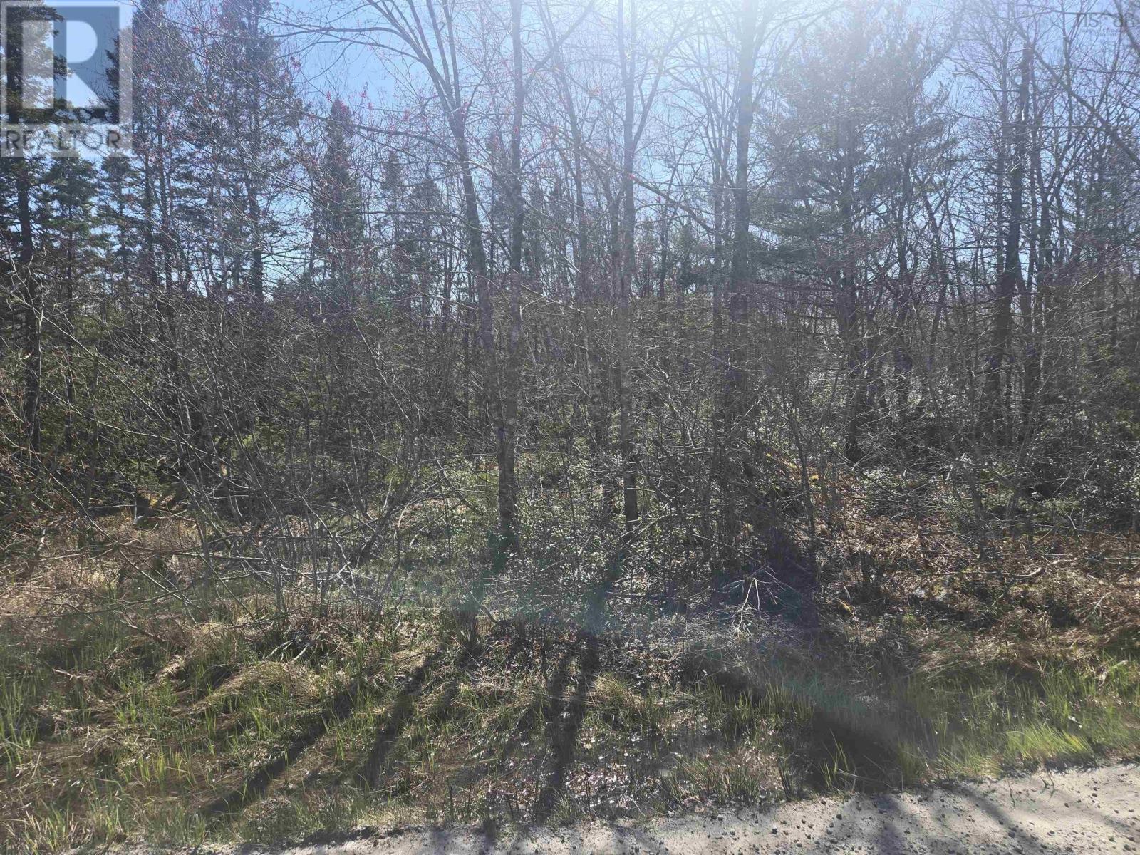 Lot B Lake Road, Sandy Point, Nova Scotia B0T 1W0 - Photo 6 - 202512075