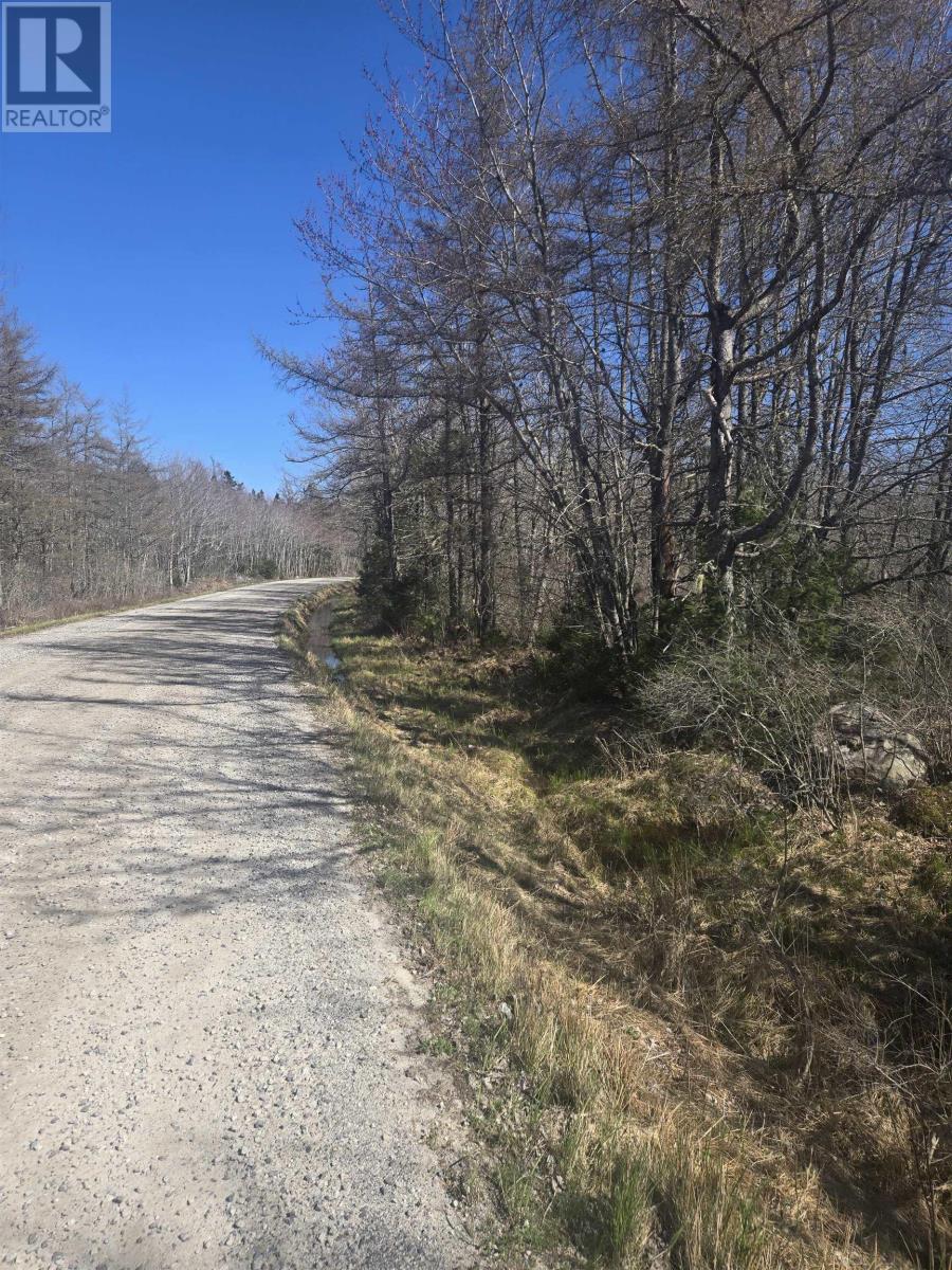 Lot B Lake Road, Sandy Point, Nova Scotia B0T 1W0 - Photo 2 - 202512075