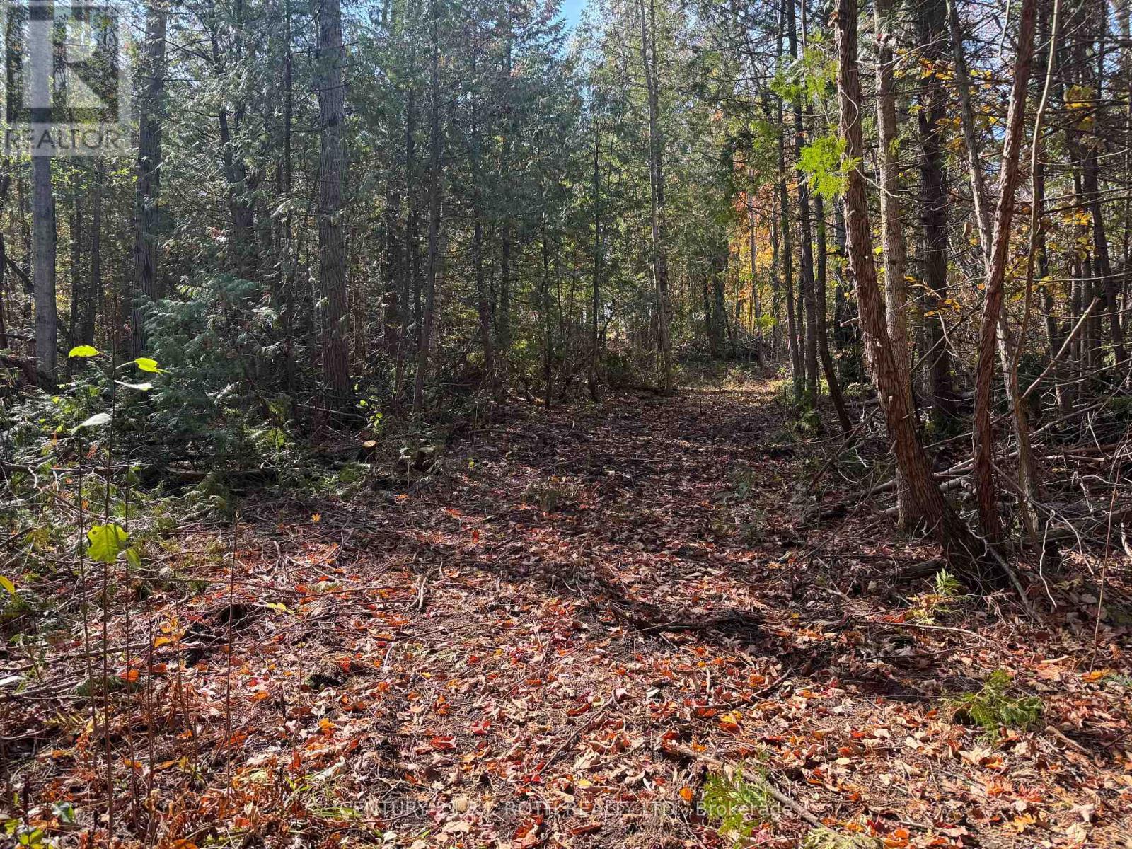 2960 8 Line, Oro-Medonte, Ontario  L0K 1N0 - Photo 4 - S12983486