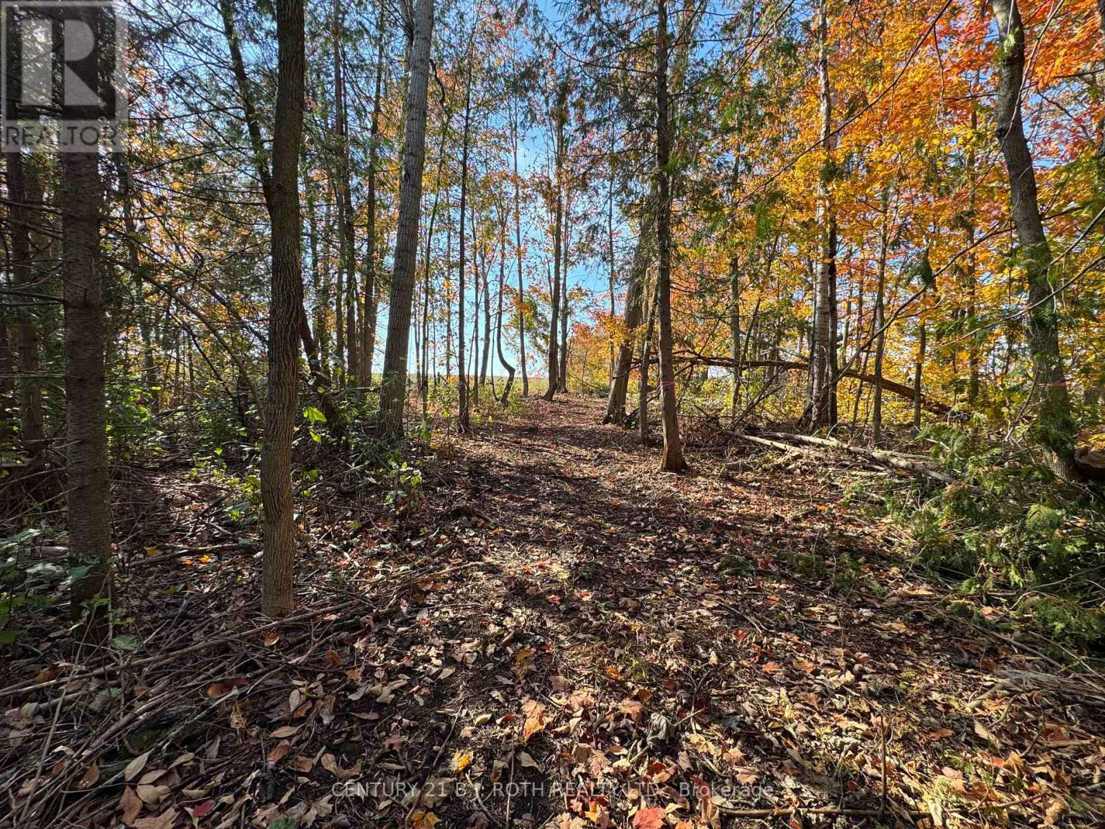 2960 8 Line, Oro-Medonte, Ontario  L0K 1N0 - Photo 5 - S12983486