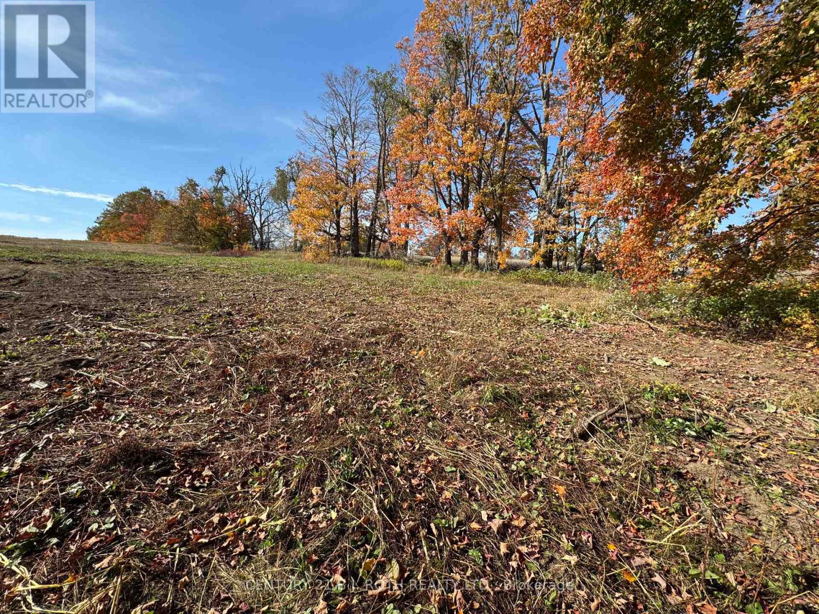 2960 8 Line, Oro-Medonte, Ontario  L0K 1N0 - Photo 6 - S12983486