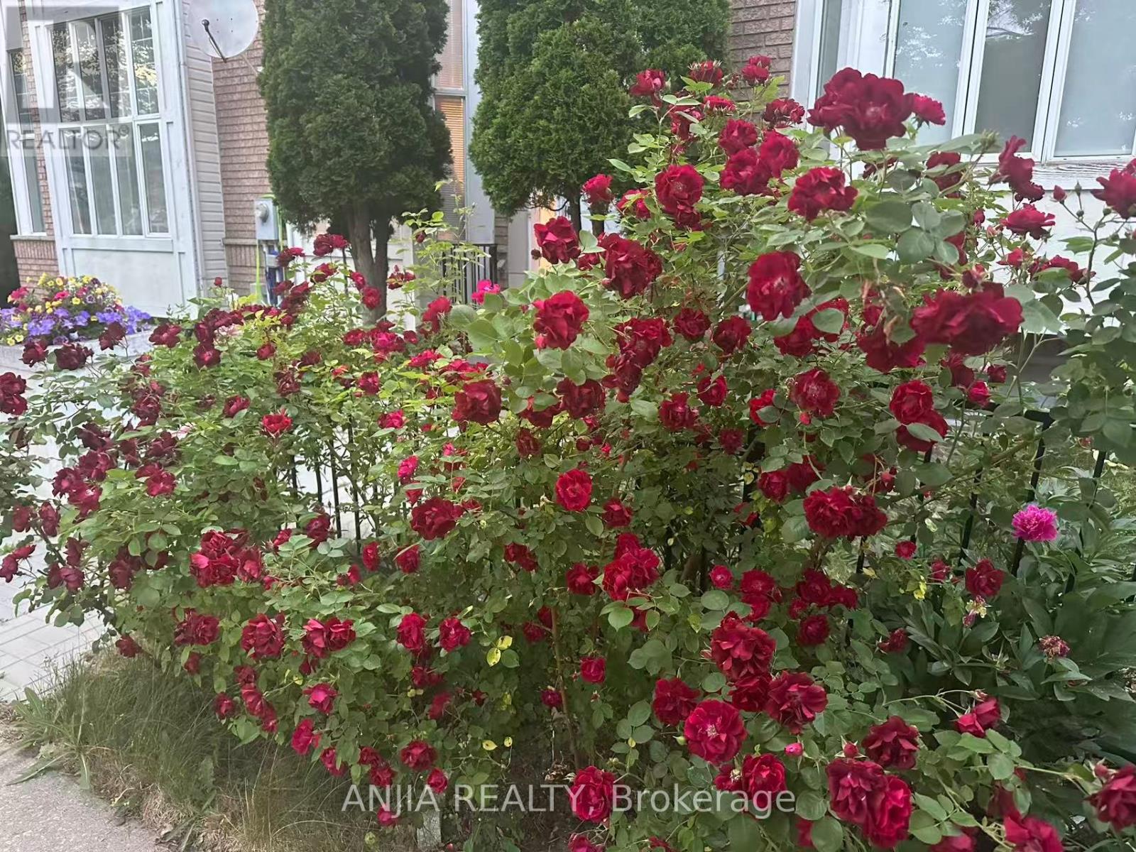 195 Shirley Drive, Richmond Hill, Ontario  L4S 1T3 - Photo 41 - N12981928