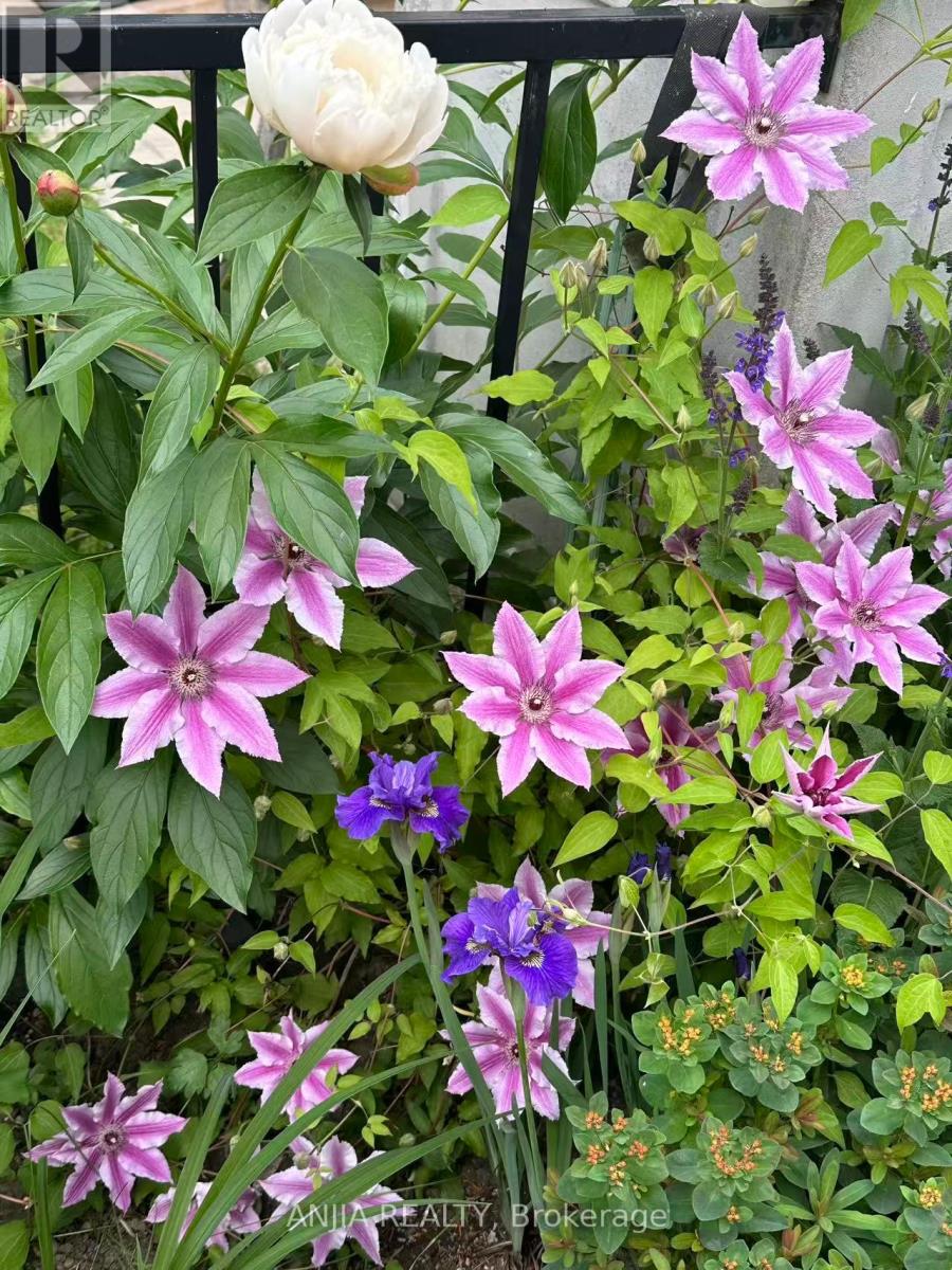 195 Shirley Drive, Richmond Hill, Ontario  L4S 1T3 - Photo 42 - N12981928