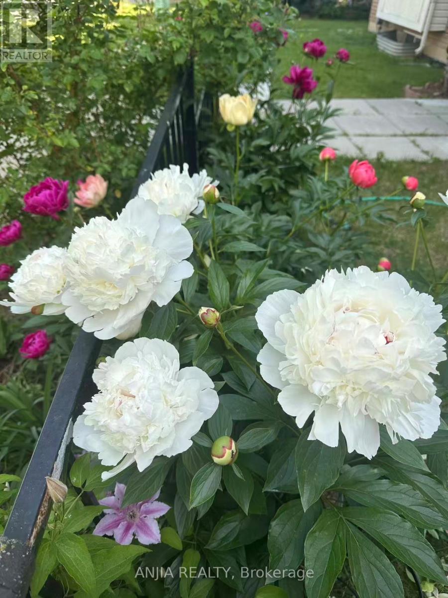 195 Shirley Drive, Richmond Hill, Ontario  L4S 1T3 - Photo 43 - N12981928