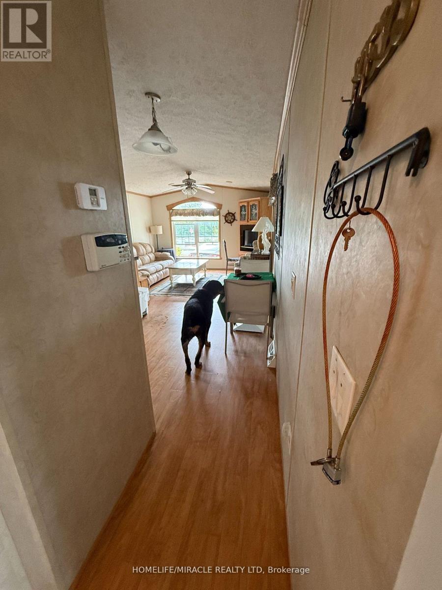 11 Grandview Drive, Peterborough, Ontario  K0L 2G0 - Photo 5 - X12983624