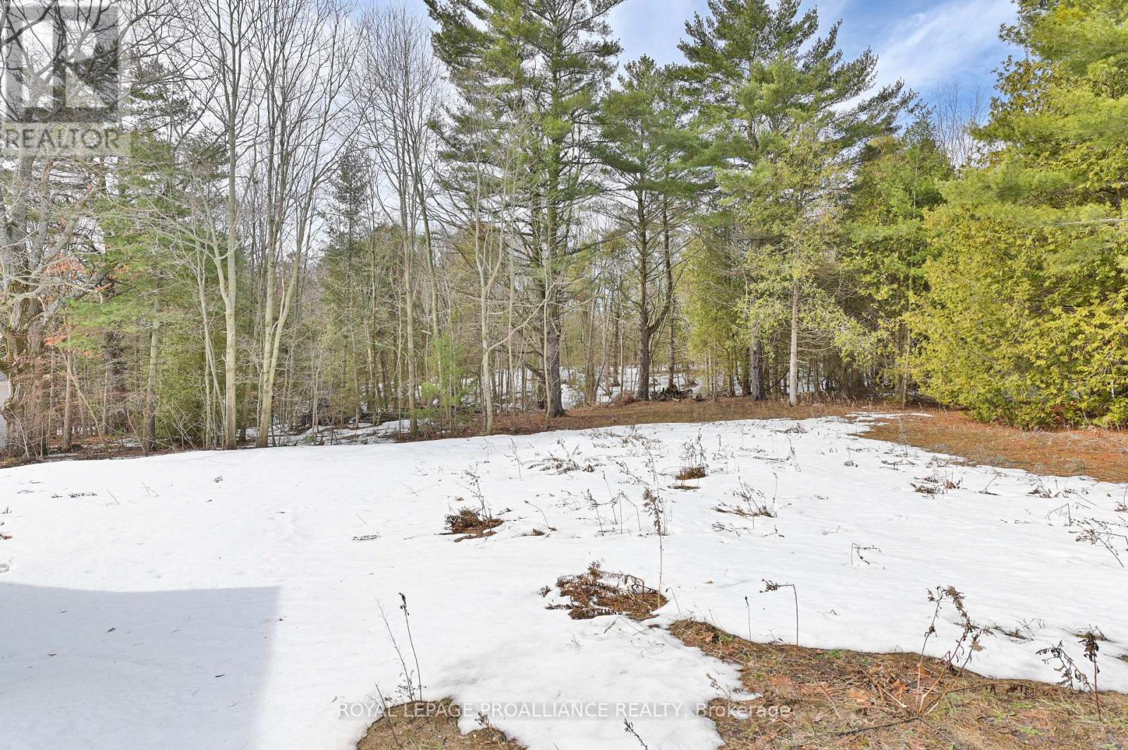 206 Fiddick Road, Cramahe, Ontario  K0K 1H0 - Photo 48 - X12983956