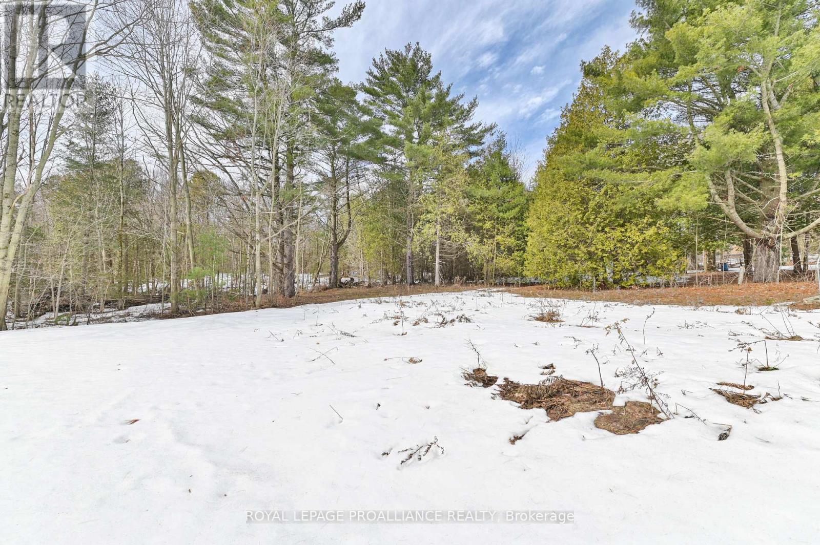 206 Fiddick Road, Cramahe, Ontario  K0K 1H0 - Photo 49 - X12983956