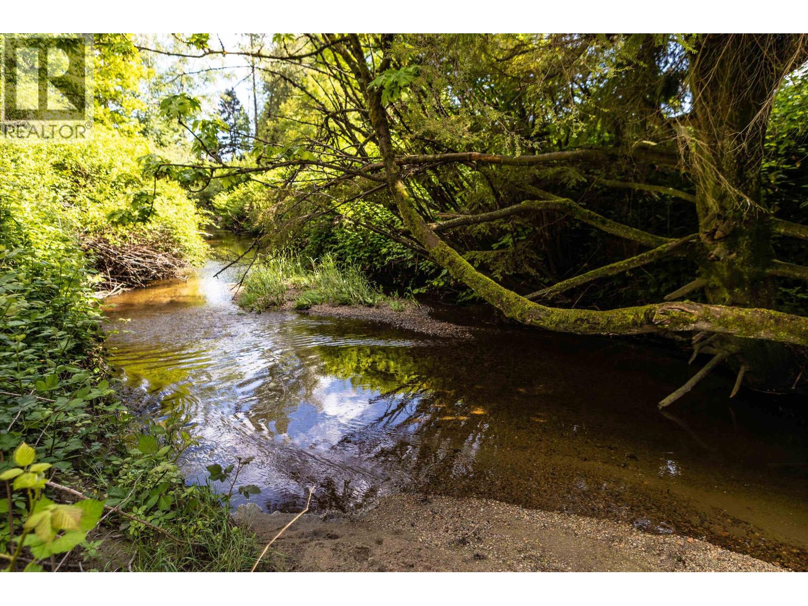 888 Herrmann Street, Coquitlam, British Columbia  V3C 6E7 - Photo 13 - R3109799