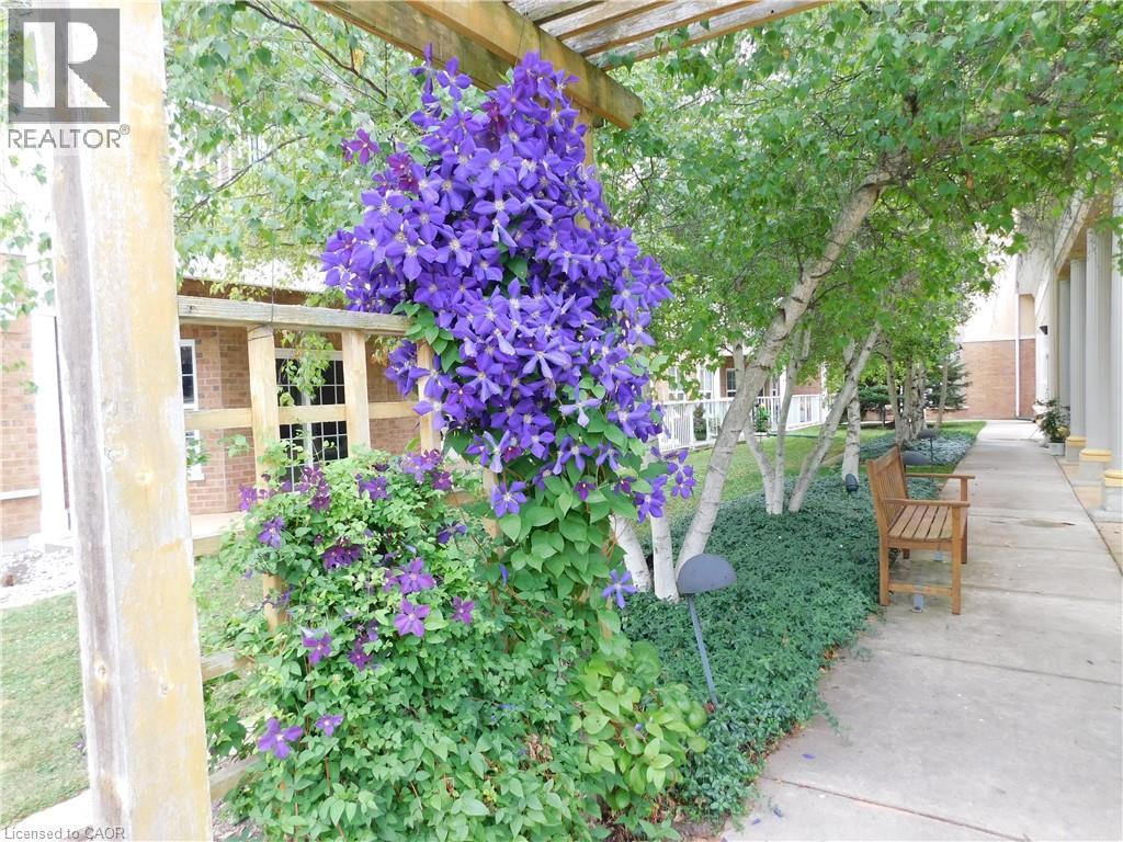 317 Lock Street W Unit# 211, Dunnville, Ontario  N1A 0A1 - Photo 29 - 40806450