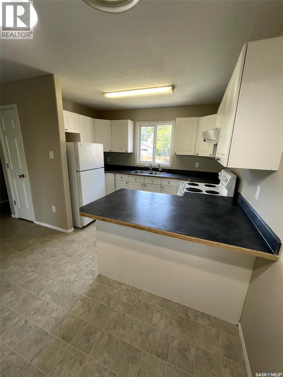 1154 Retallack Street, Regina, Saskatchewan  S4T 2H3 - Photo 9 - SK032281
