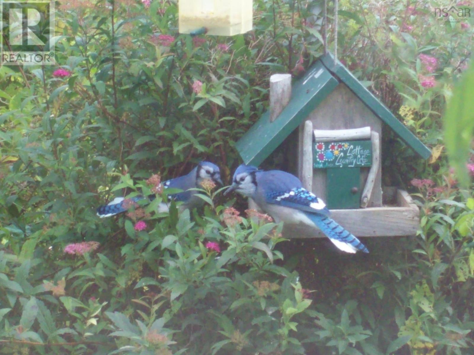 9273 Highway 16, Cooks Cove, Nova Scotia  B0H 1N0 - Photo 21 - 202607039