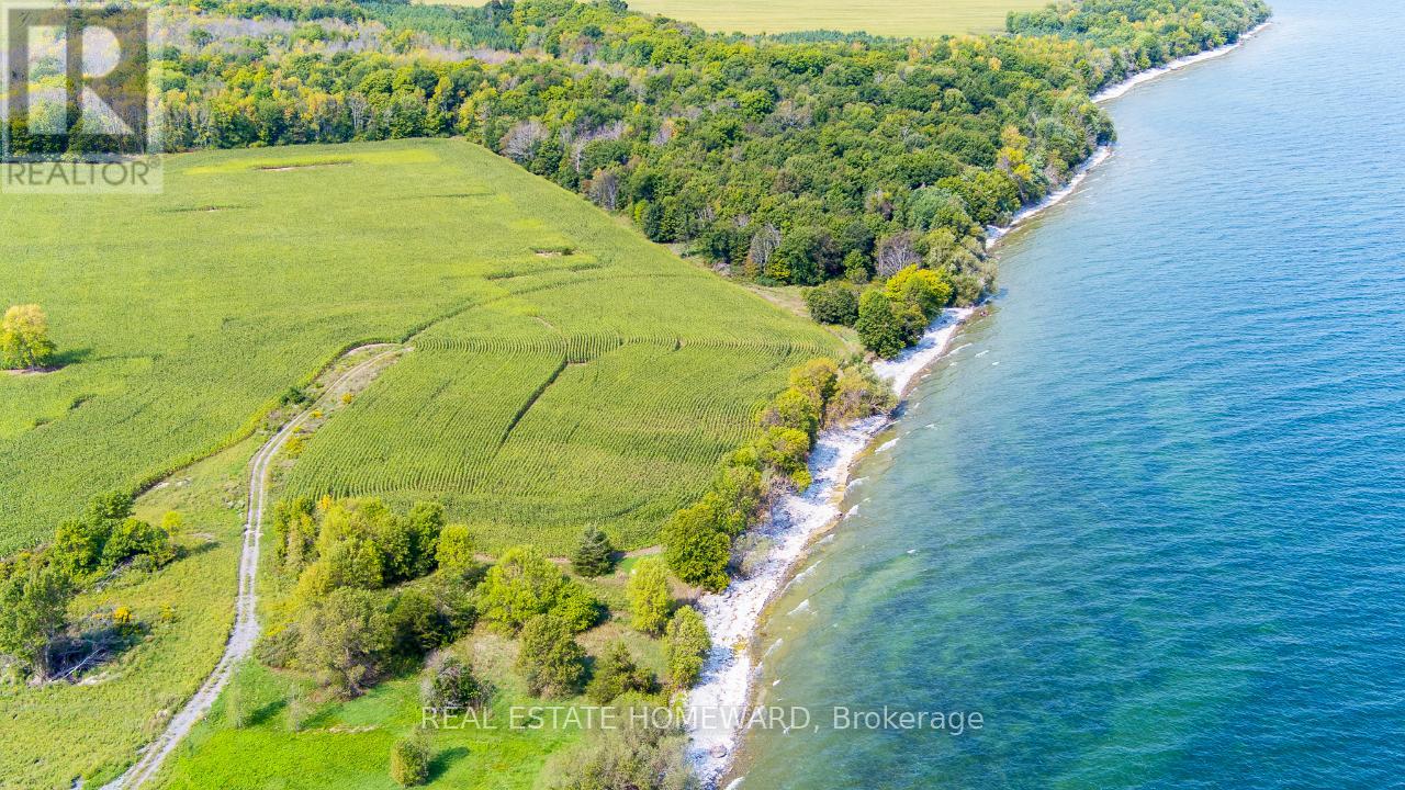 138 Jarvis Lane, Prince Edward County, Ontario  K0K 2T0 - Photo 9 - X12983916