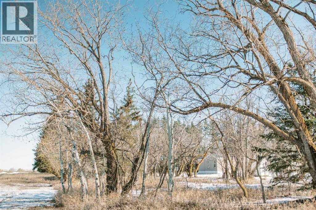 41177 Range Road 18-1, Rural Stettler No. 6, Alberta  T0B 1H0 - Photo 5 - A2291958