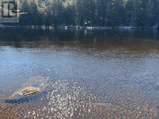 186 Fleming Drive, Greater Madawaska, Ontario  K0J 1H0 - Photo 10 - X12984148