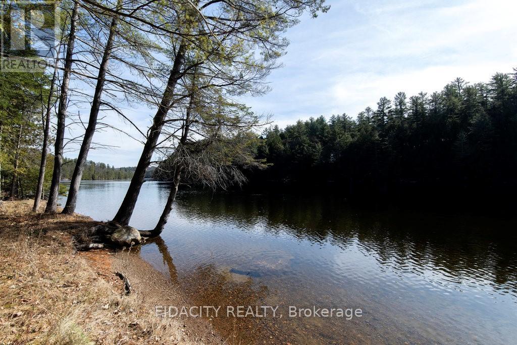 186 Fleming Drive, Greater Madawaska, Ontario  K0J 1H0 - Photo 8 - X12984148