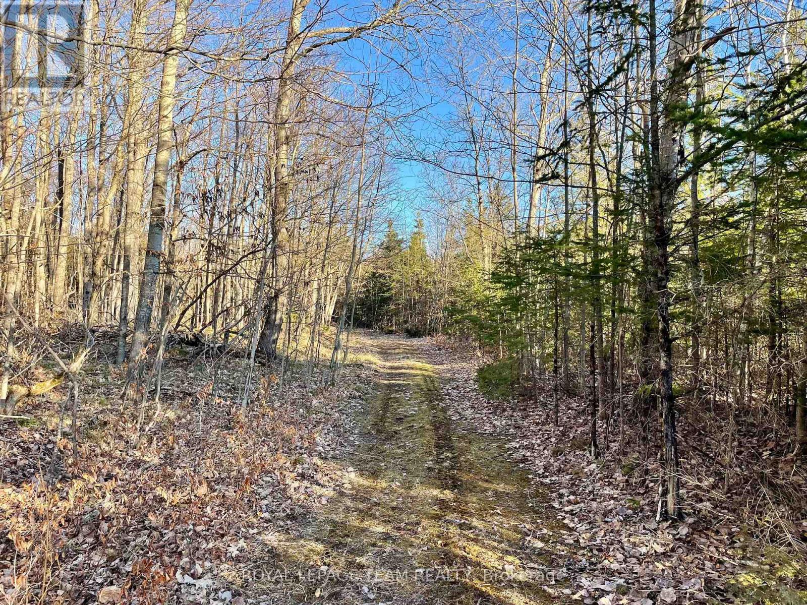 4265 Roger Stevens Drive, Ottawa, Ontario  K7A 4S6 - Photo 39 - X12984222