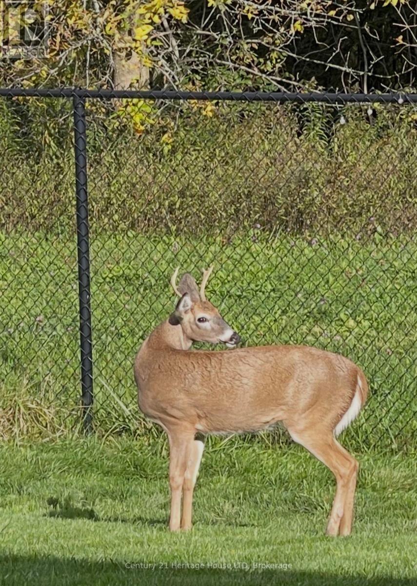 710 Brian Street, Fort Erie, Ontario  L2A 6W2 - Photo 49 - X12984014