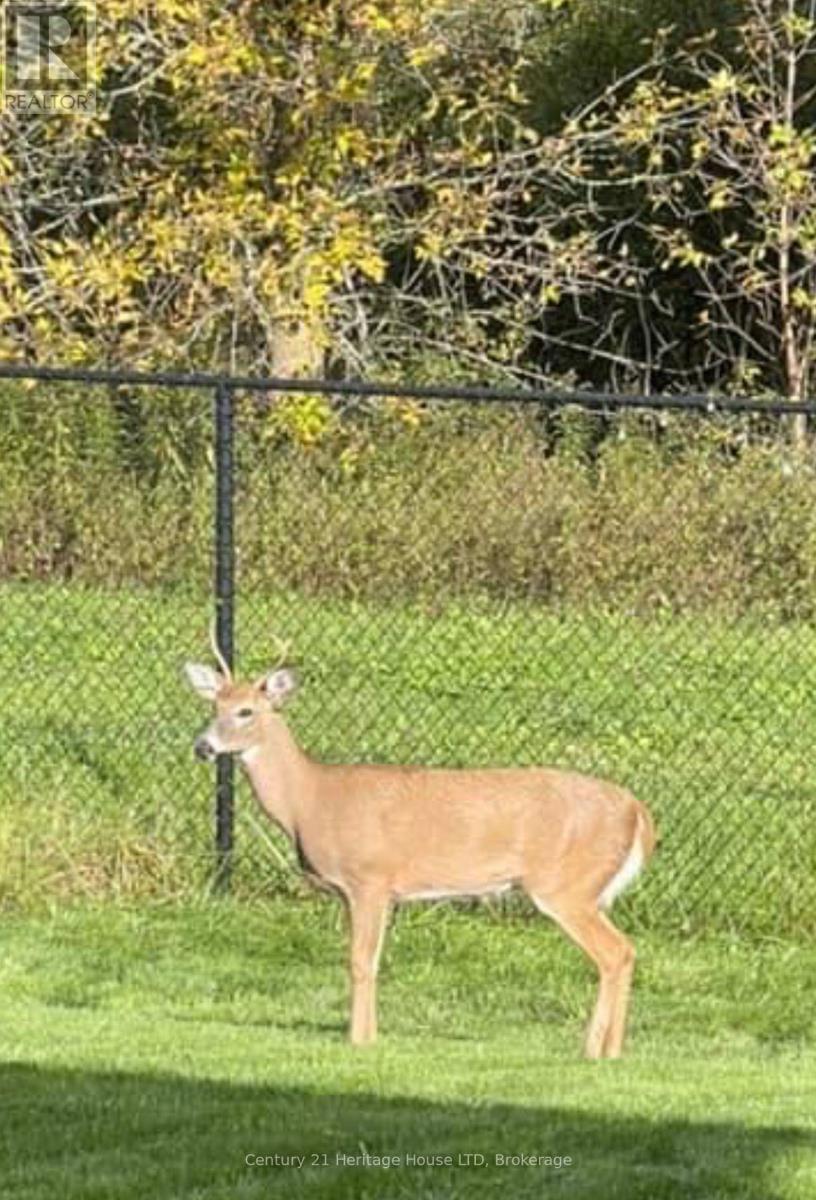 710 Brian Street, Fort Erie, Ontario  L2A 6W2 - Photo 50 - X12984014