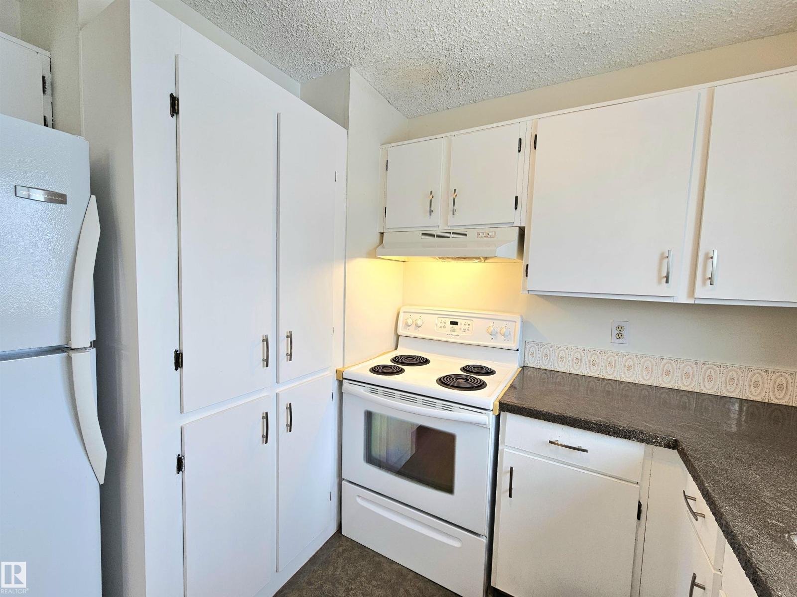 10029 173 Av Nw, Edmonton, Alberta  T5X 3Y1 - Photo 6 - E4479688