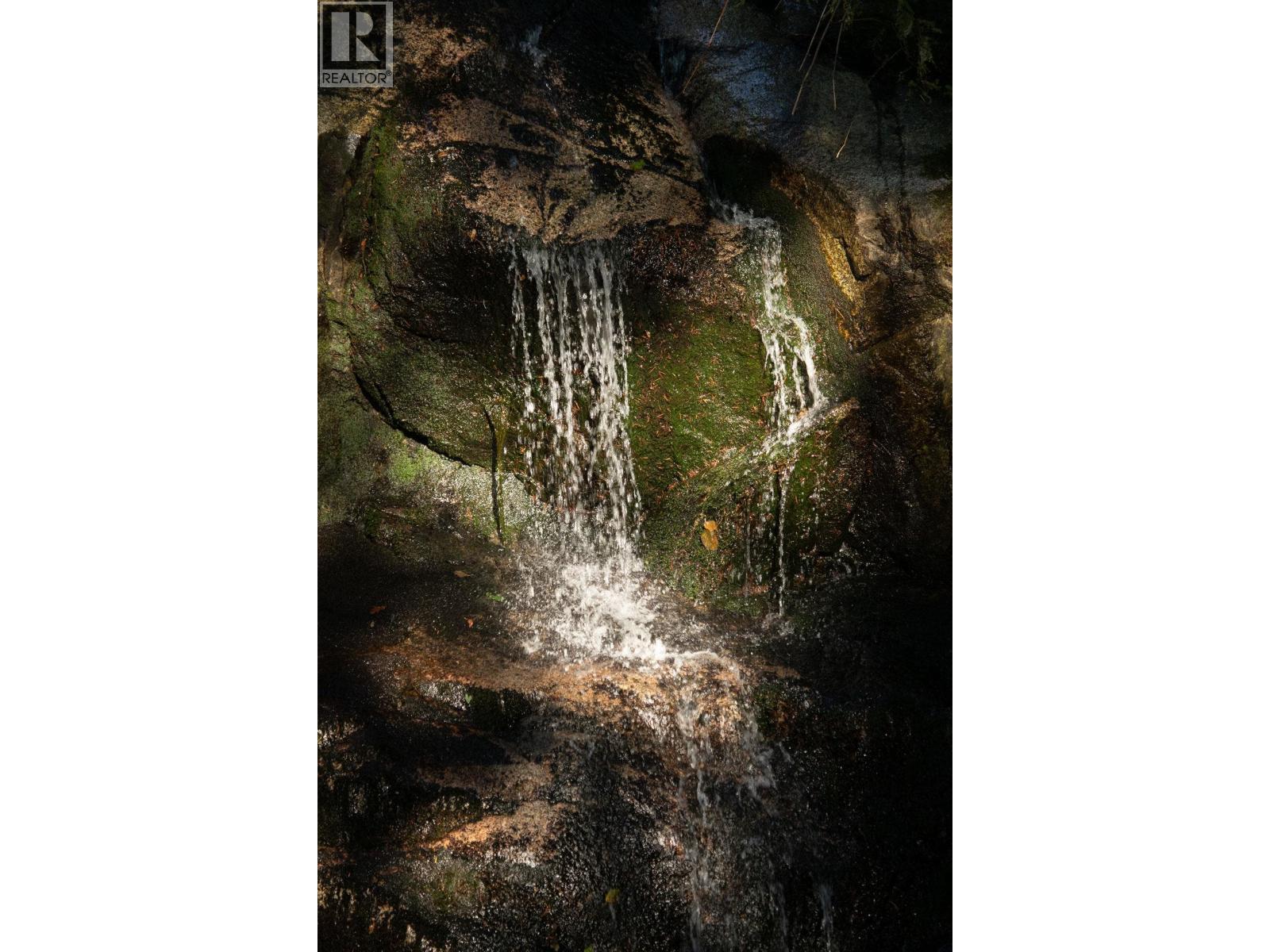 5439 Indian River Drive, North Vancouver, British Columbia  V7G 2T7 - Photo 9 - R3109856