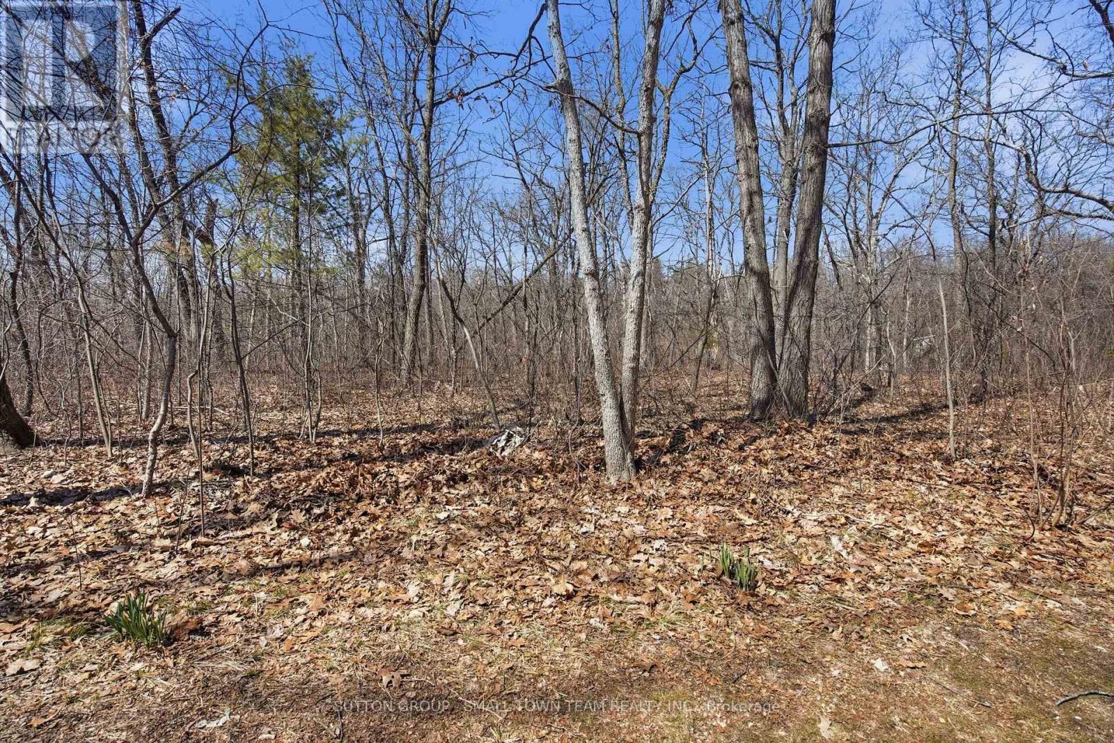 8816 Timberwood Trail, Lambton Shores, Ontario  N0M 1T0 - Photo 46 - X12984432